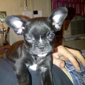 Fundraising Page: Chastity Allen